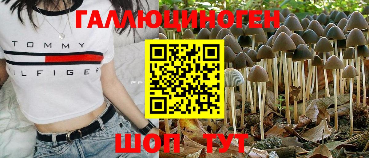 Галлюциногенные грибы MAGIC MUSHROOMS Егорьевск